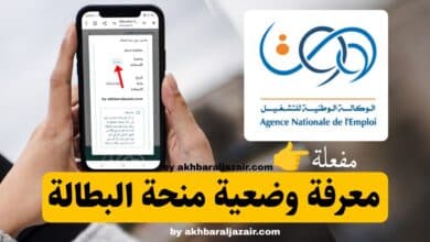 منصة "منحة"، تتيح للمستفيدين معرفة وضعية الاستفادة من منحة البطالة، سواء كانت مفعلة أو معلقة